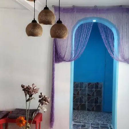 Cat House
